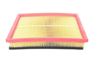 Air Filter (BSG 65-135-008)