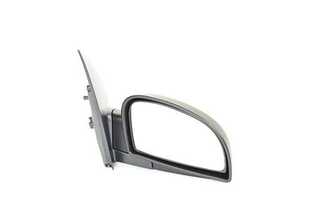 Exterior Mirror (BSG 40-900-009)
