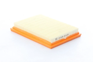 Air Filter (BSG 30-135-028)