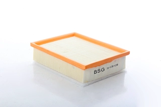 Air Filter (BSG 70-135-038)
