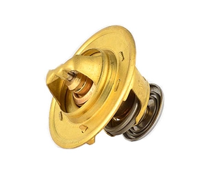 Thermostat, coolant (BSG 65-125-004)