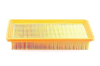 Air Filter (BSG 40-135-010)