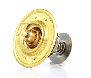 Thermostat, coolant (BSG 30-125-005)