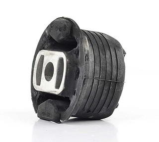 Bushing, axle beam (BSG 60-310-204)