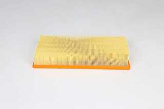 Air Filter (BSG 15-135-015)