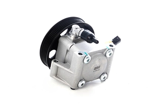 Hydraulic Pump, steering (BSG 30-355-013)