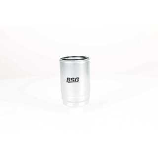 Fuel Filter (BSG 40-130-011)