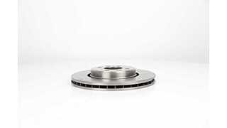 Brake Disc (BSG 75-210-004)