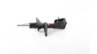 Shock Absorber (BSG 15-300-048)