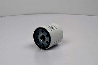 Oil Filter (BSG 30-140-009)