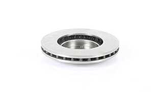 Brake Disc (BSG 85-210-002)