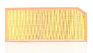 Air Filter (BSG 90-135-015)