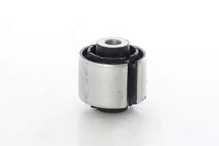 Mounting, control/trailing arm (BSG 60-700-242)