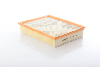 Air Filter (BSG 90-135-044)