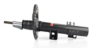Shock Absorber (BSG 90-300-019)