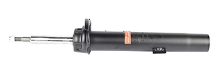 Shock Absorber (BSG 15-300-016)