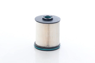 Fuel Filter (BSG 65-130-013)