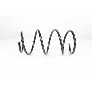 Suspension Spring (BSG 15-305-016)