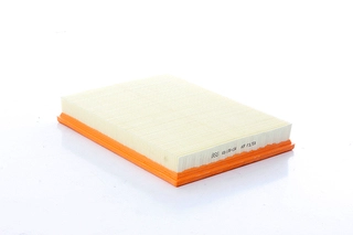 Air Filter (BSG 65-135-034)