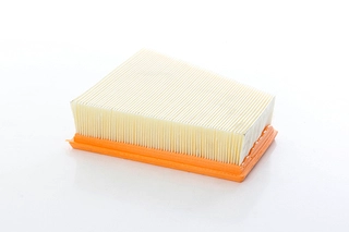 Air Filter (BSG 90-135-043)