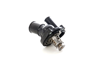 Thermostat, coolant (BSG 30-125-021)