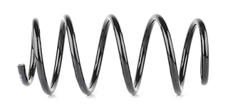 Suspension Spring (BSG 65-305-013)