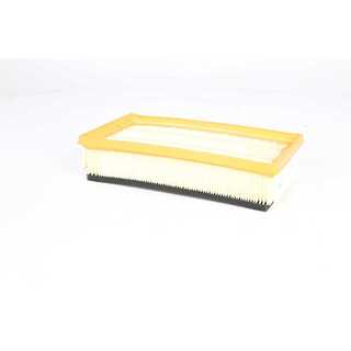 Air Filter (BSG 70-135-015)
