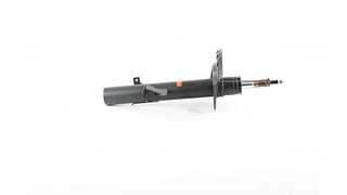 Shock Absorber (BSG 15-300-050)