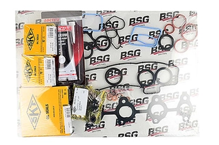 Full Gasket Kit, engine (BSG 30-115-008)