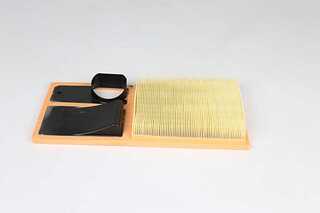 Air Filter (BSG 90-135-022)