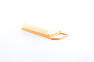 Air Filter (BSG 70-135-031)