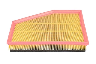 Air Filter (BSG 15-135-014)