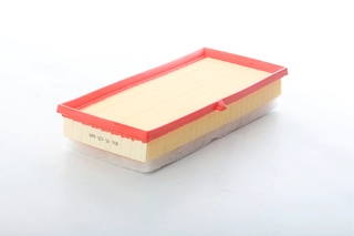 Air Filter (BSG 85-135-009)