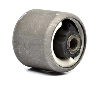 Bushing, axle beam (BSG 30-700-305)