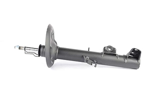 Shock Absorber (BSG 15-300-021)