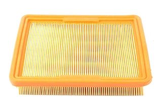 Air Filter (BSG 40-135-006)