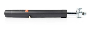 Shock Absorber (BSG 90-300-025)