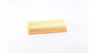 Air Filter (BSG 75-135-010)