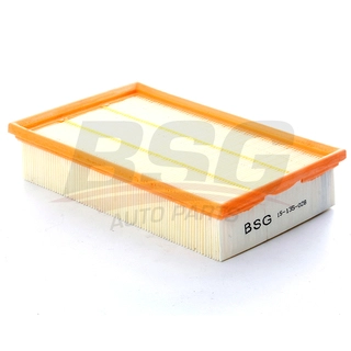 Air Filter (BSG 15-135-028)
