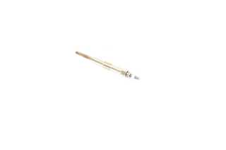 Glow Plug (BSG 40-870-003)