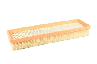 Air Filter (BSG 70-135-008)
