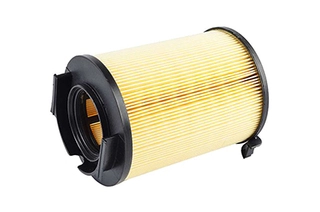 Air Filter (BSG 90-135-012)