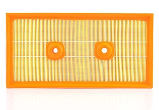 Air Filter (BSG 90-135-013)