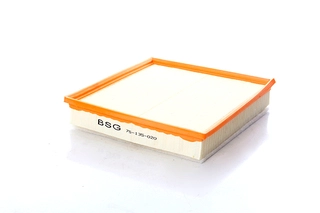 Air Filter (BSG 75-135-020)