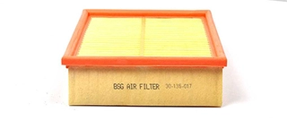 Air Filter (BSG 30-135-017)