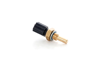 Sensor, coolant temperature (BSG 30-840-069)
