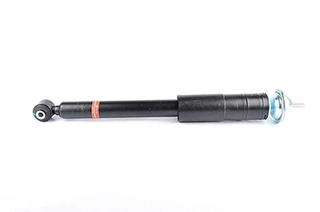 Shock Absorber (BSG 60-300-038)