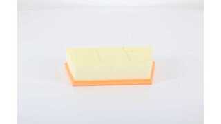 Air Filter (BSG 15-135-024)