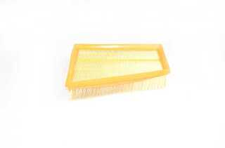 Air Filter (BSG 75-135-001)