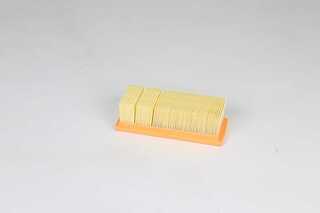 Air Filter (BSG 75-135-017)